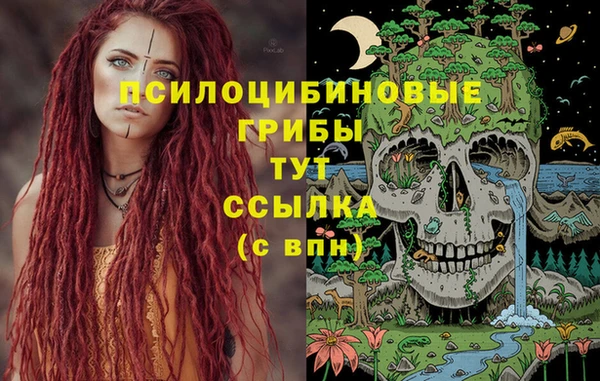 амф Балахна