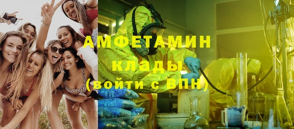 мет Дмитриев