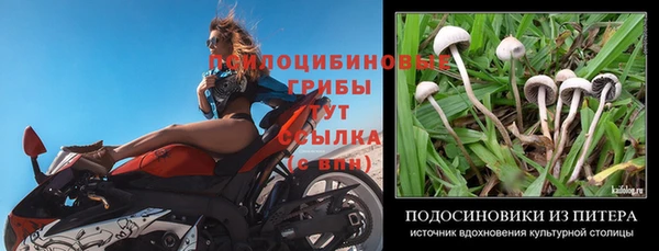 амф Балахна