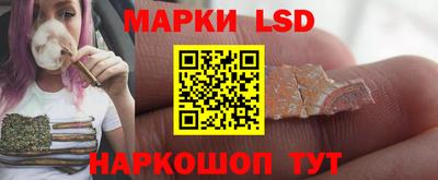 сатива Новокубанск