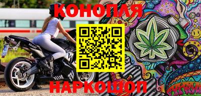 сатива Новокубанск