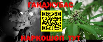 сатива Новокубанск