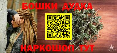 сатива Новокубанск