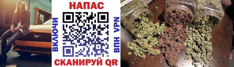 наркотики  mega зеркало  Каннабис план  Сегежа 